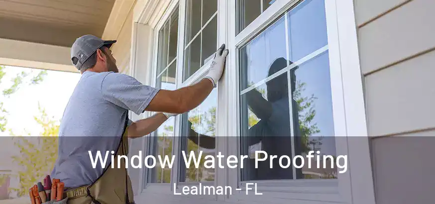 Window Water Proofing Lealman - FL