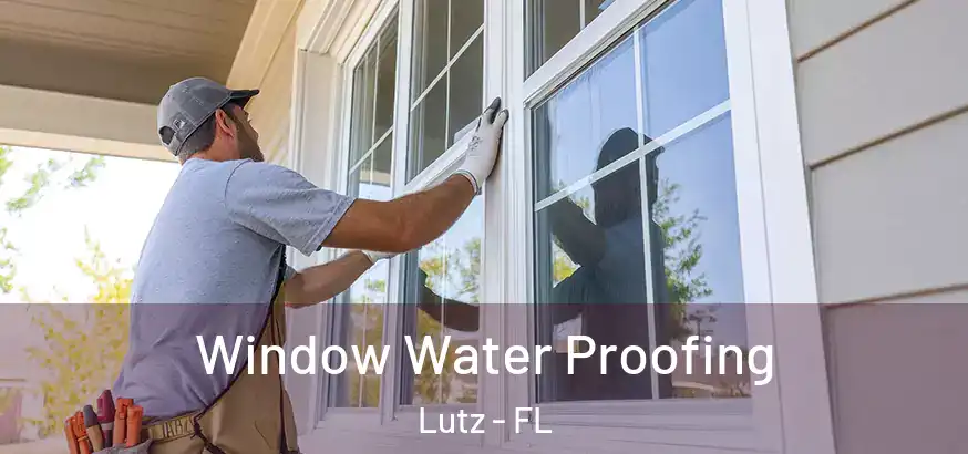 Window Water Proofing Lutz - FL