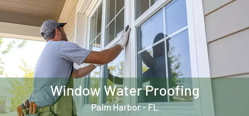  Window Water Proofing Palm Harbor - FL