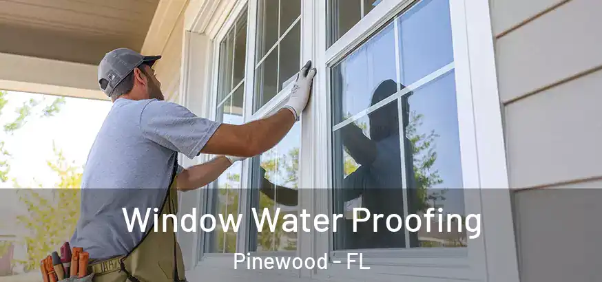 Window Water Proofing Pinewood - FL