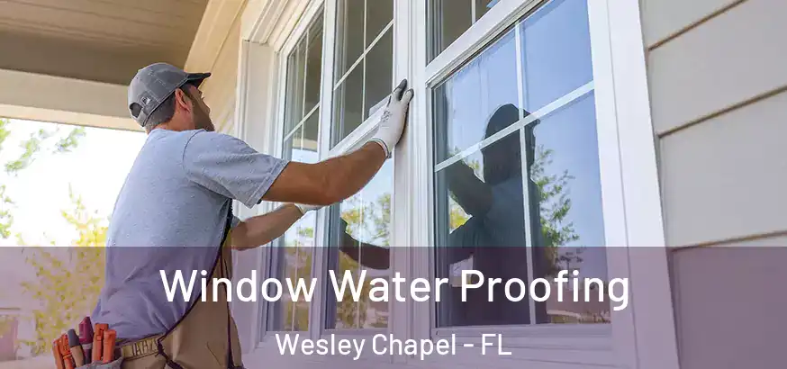  Window Water Proofing Wesley Chapel - FL