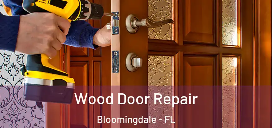 Wood Door Repair Bloomingdale - FL