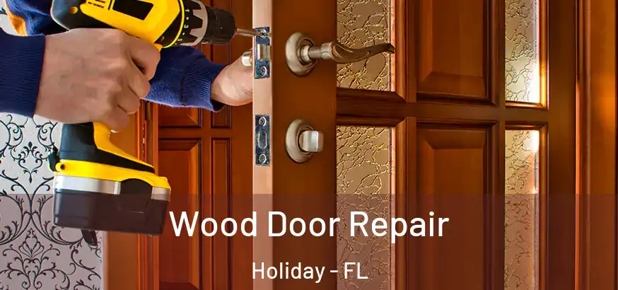  Wood Door Repair Holiday - FL