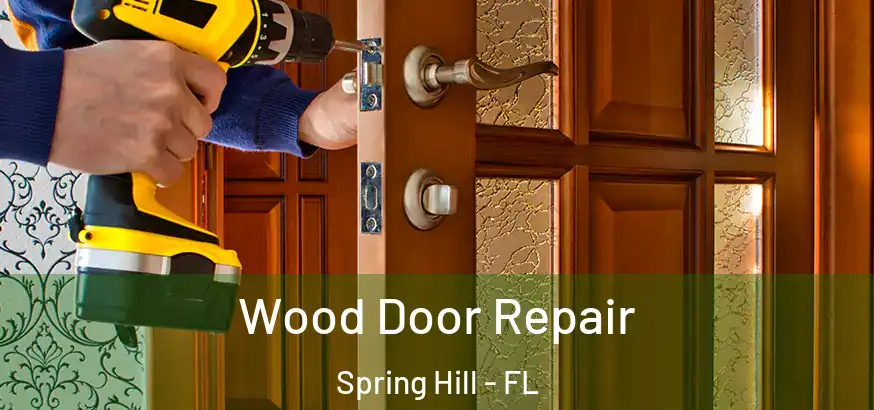 Wood Door Repair Spring Hill - FL